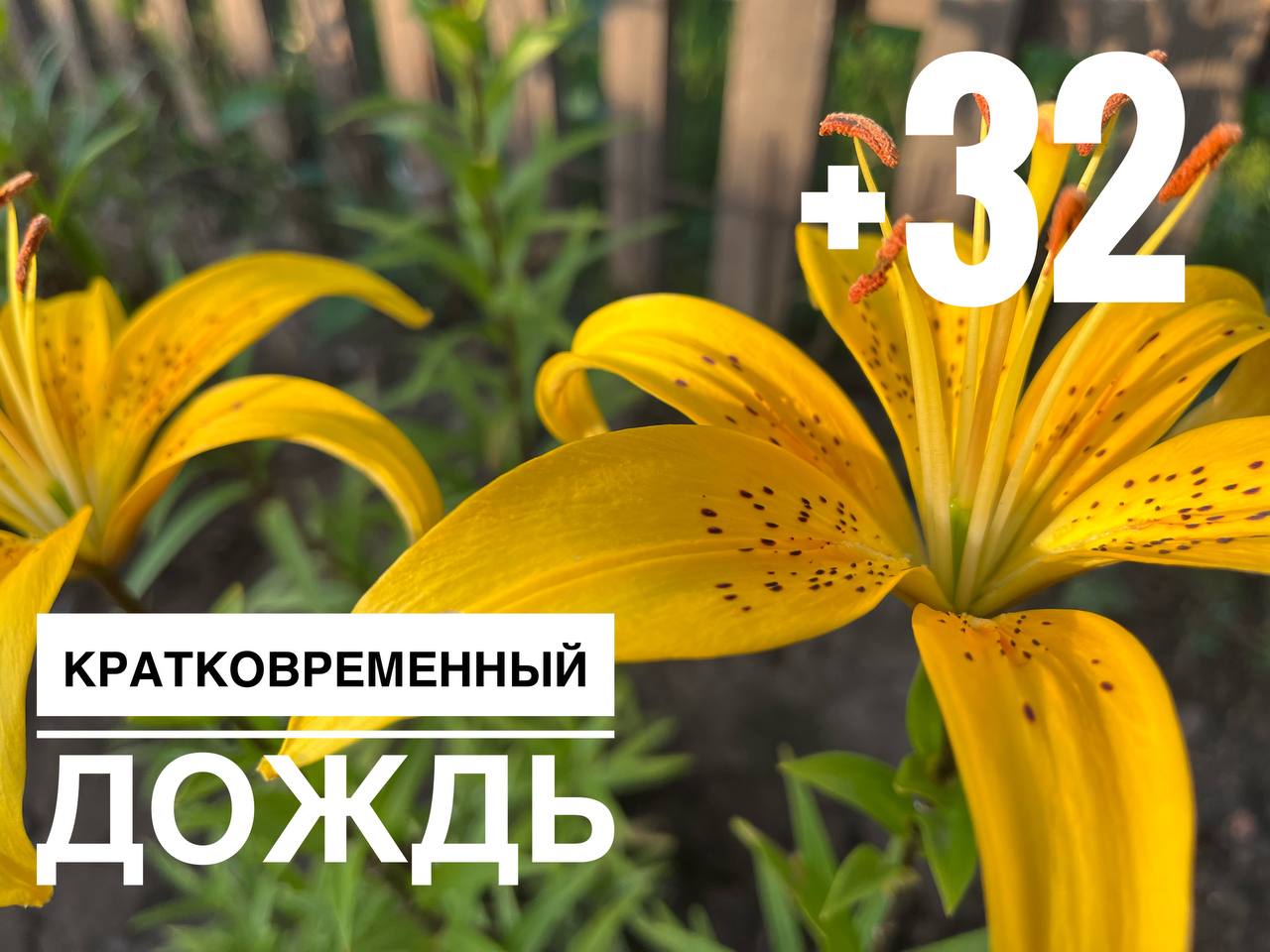 Сегодня в Оренбурге может пойти кратковременный дождь, возможна гроза. Температура воздуха +30, +32 градуса.