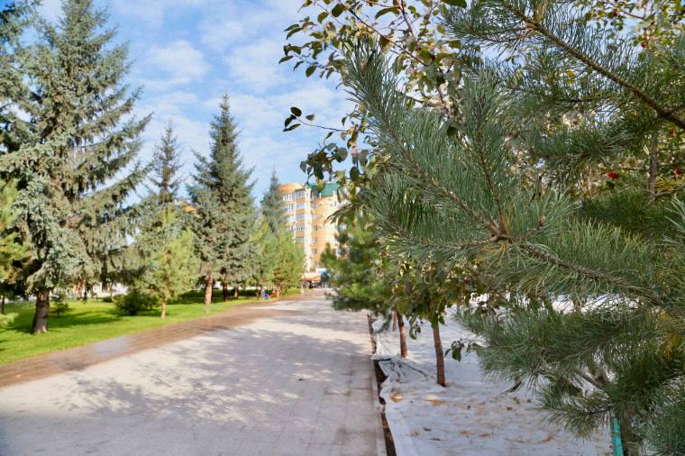 В Омске ведется благоустройство пляжа Центральный 2 и улицы Короленко ℹ  Работы ведутся подрядной организацией Сибдор в две смены чтобы как можно скорее открыть пространство для горожан Что уже сделано демонтированы старые покрытия и лестница забетонированы основания новой каскадной лестницы завершается устройство бортовых камней тротуаров и наружного освещения в сквере Что впереди  облицовка гранитом лестницы и пешеходной зоны на ул Короленко  устройство тротуара вдоль пляжа и велодорожки из красного асфальта  монтаж габионов с бутовым камнем  подготовка площадок для спортивных и игровых тренажёров Параллельно в сквере им 200 летия Омского кадетского корпуса трудятся службы озеленения УДХБ агрономы уложили новый рулонный газон в ближайшее время высадят кустарники и черемуху виргинскую Шуберт Напомним что благоустройство пляжа реализуется в рамках федерального проекта Формирование комфортной городской среды нацпроекта Инфраструктура для жизни в прошлом году