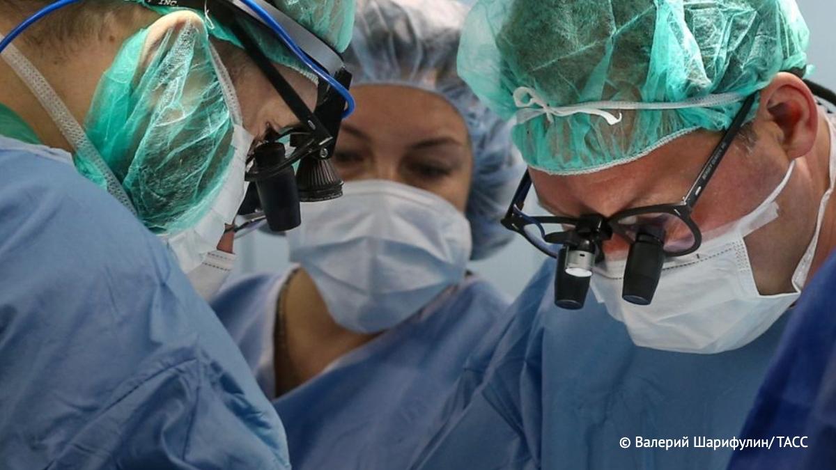 Создана технология починки поврежденных почек при помощи 3D органоидов сообщает журнал Nature Biomedical Engineering Подпишись на ТАСС Наука