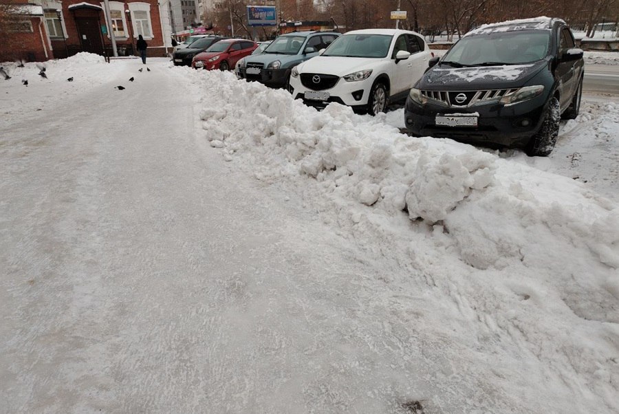 Мэр Новосибирска получил представление прокуратуры за уборку города Прокуратура совместно с сотрудниками ГИБДД провела проверку состояния дорог на основных улицах города в том числе ведущих к социальным учреждениям после ноябрьских снегопадов Как выяснилось в ходе проверки в нарушение нормативного срока на 57 участках дорог до сих пор лежит снег и лед толщина снежного покрова в ходе проверок превышала 5 см Подробнее читайте по ссылке     INFOPRO54 Фото Infopro54 автор Юлия Данилова