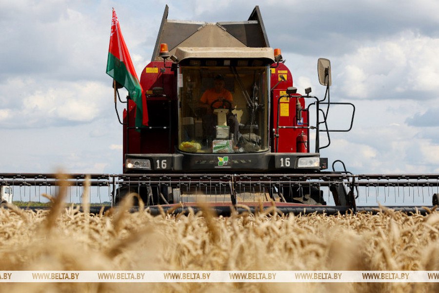 Вы справитесь с любыми задачами Александр Лукашенко поздравил работников АПК с профессиональным праздником Подпишитесь на Гомельские ведомости