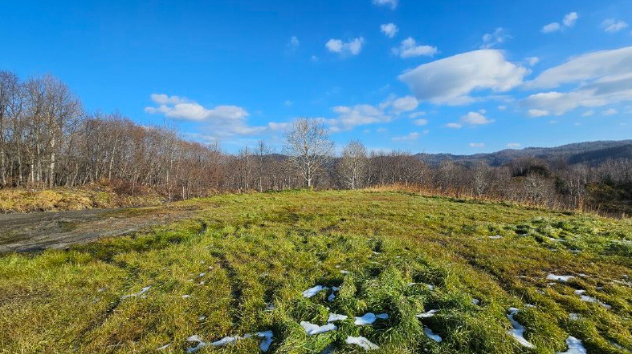 В Синегорске рекультивировали свалку Почву на ее месте восстановили удобрили и высадили траву ys news news post 8776