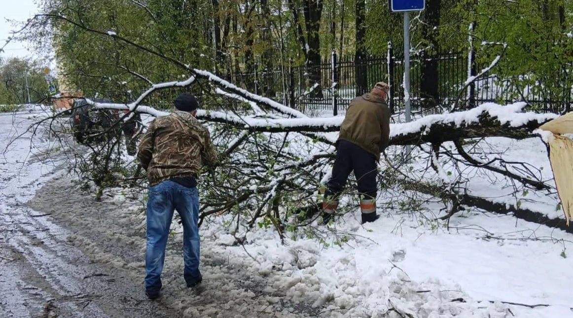 ⏺ В Клину восстанавливают подачу электричества и убирают деревья По данным «Мособлэнерго» и ПАО «Россети Московский регион», электроснабжение восстановлено в некоторых населенных пунктах городского округа Клин, сообщила глава муниципалитета Алена Сокольская. Она отметила, что электроснабжение восстановили в населенных пунктах Голышкино, Тимонино, Косово, Макшеево, Троицкое, Третьяково, Масюгино, Назарьево, Полушкино, Бекетово, Белавино, Фроловское и многих других. По словам главы, были подключены котельные в населенных пунктах Петровское, Слобода, Соголево, котельная и ВЗУ в д. Васильково. Кроме того, от автономных генераторов запитаны котельные в Дятлове, Ногове и Аксенове. Сокольская добавила, что упавшие деревья убрали, проезд транспорта восстановили в Клину улицы Высоковская, Дзержинского, Менделеева и другие , Высоковске улица Первомайская , мкр. Майданово. На части территорий работы продолжаются. «В настоящее время запущены и работают в штатном режиме все городские котельные, по отдельным адресам специалисты управляющих компаний проводят мероприятия на прием и подачу тепла в дома», — сказала глава округа. Как уточнила Сокольская, ПАО «Россети Московский регион» сообщают, что в д. Дятлово запущены котельная и ВЗУ, а еще котельная в д. Щекино. Подписаться Прислать новость Спецпроект «Герои-военкоры»