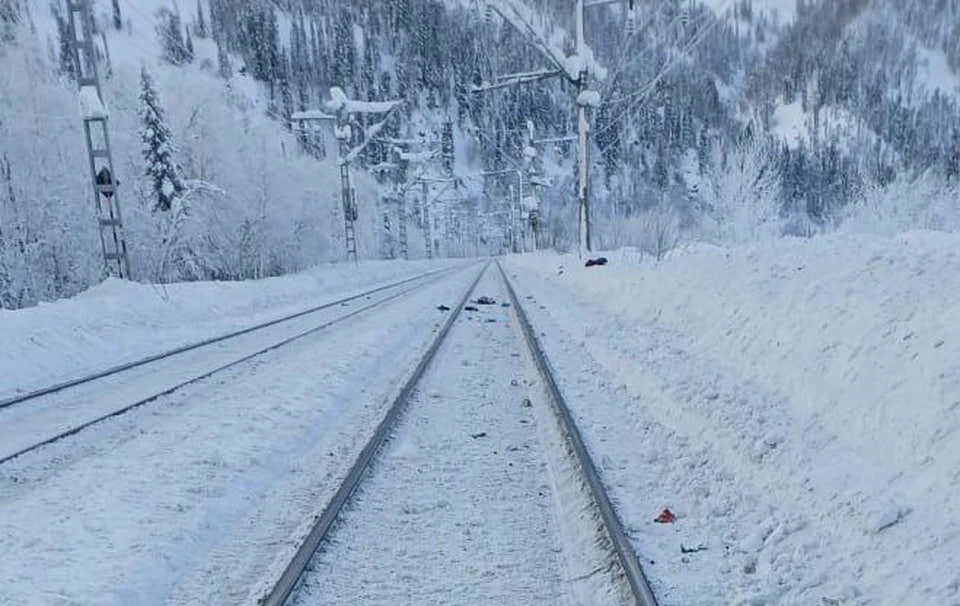 Москвич погиб под колёсами поезда в Кузбассе Известно что 59 летний турист из столицы переходил железнодорожные пути в районе станции Лужба перед приближающимся составом Экстренное торможение не помогло избежать трагедии сообщили в Кузбасском ЛУ МВД России Написать Telegram MAX