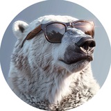 Аватар Телеграм канала: Биполярный медведь