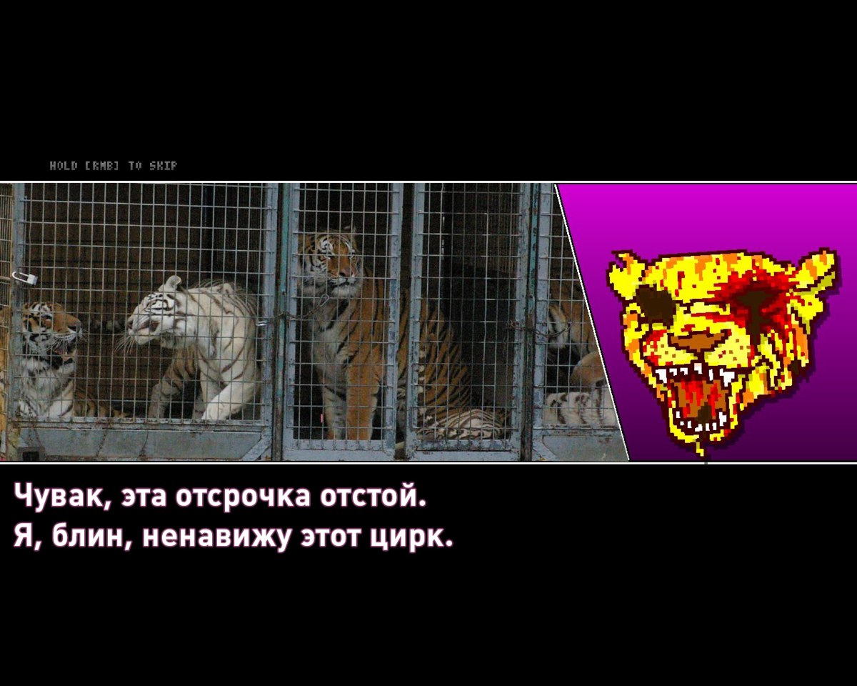 Кабмин до 1 марта 2026 года продлил отсрочку для цирков по ряду требований к содержанию животных, касающихся размеров вольеров, клеток и служебных помещений  А что ещё случилось?