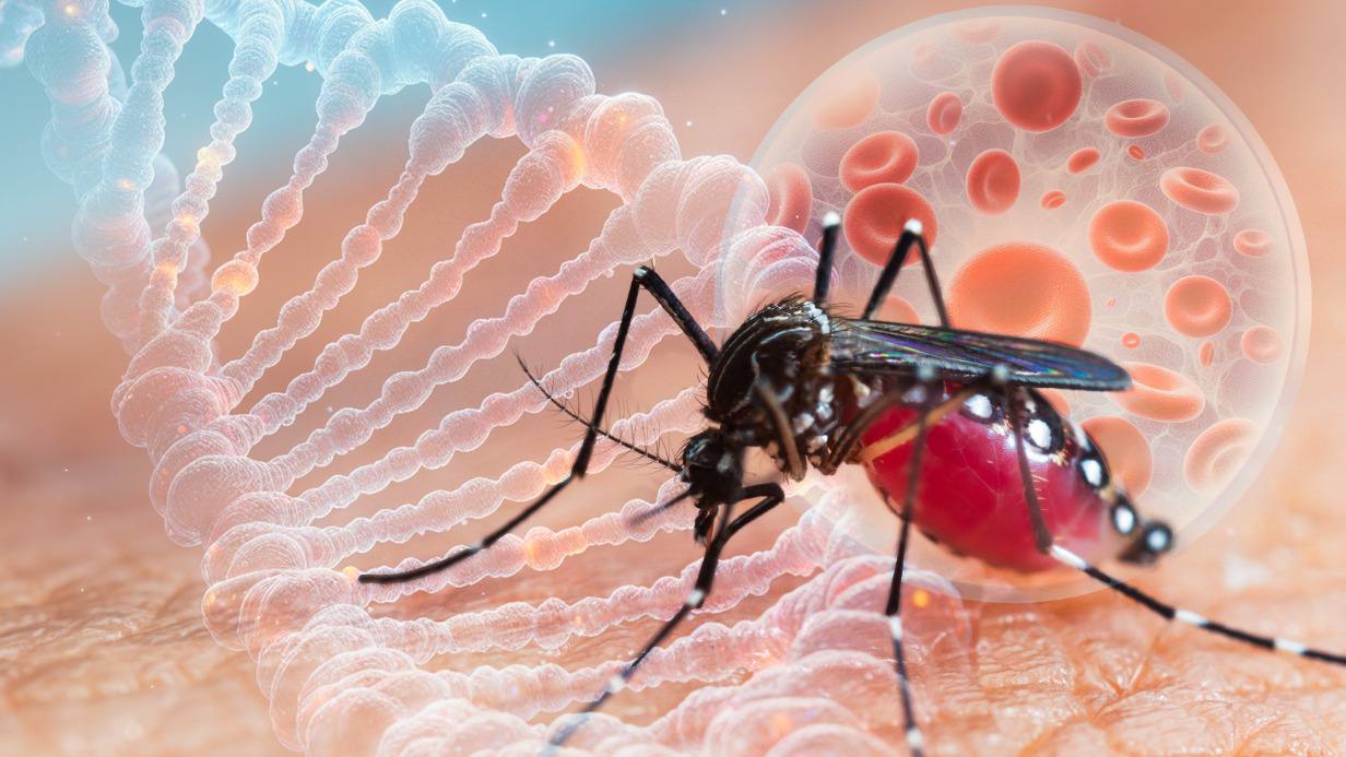 Завозной случай лихорадки чикунгунья выявлен в России сообщили в Роспотребнадзоре Дмитрий Никотин Подписаться