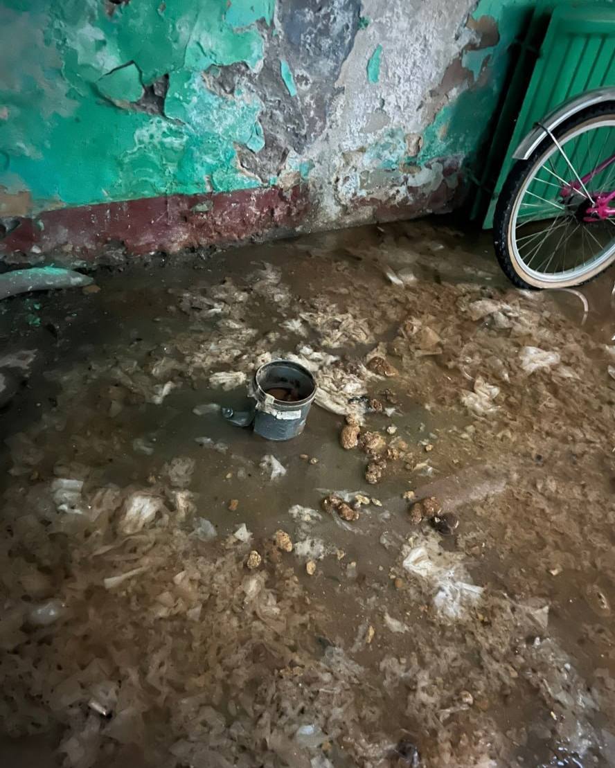 Подъезд жилого дома в Кронштадте заливает фекалиями Как рассказали местные жители проблема существует не первый год В доме номер 40 на проспекте Ленина регулярно происходят прорывы канализации и затапливает входную группу Каждый выход из дома превращается для людей в преодоление полосы препятствий А характерный запах отравляет всем жизнь Жильцы сетуют что аварийные службы устраняют последствия лишь на время а причину аварии не решают Примечательно что прямо в этом же доме располагается жилкомсервис напротив районный суд а в одном из соседних домов городская дума TodaySPb   Новости GradSPb   Места СПб