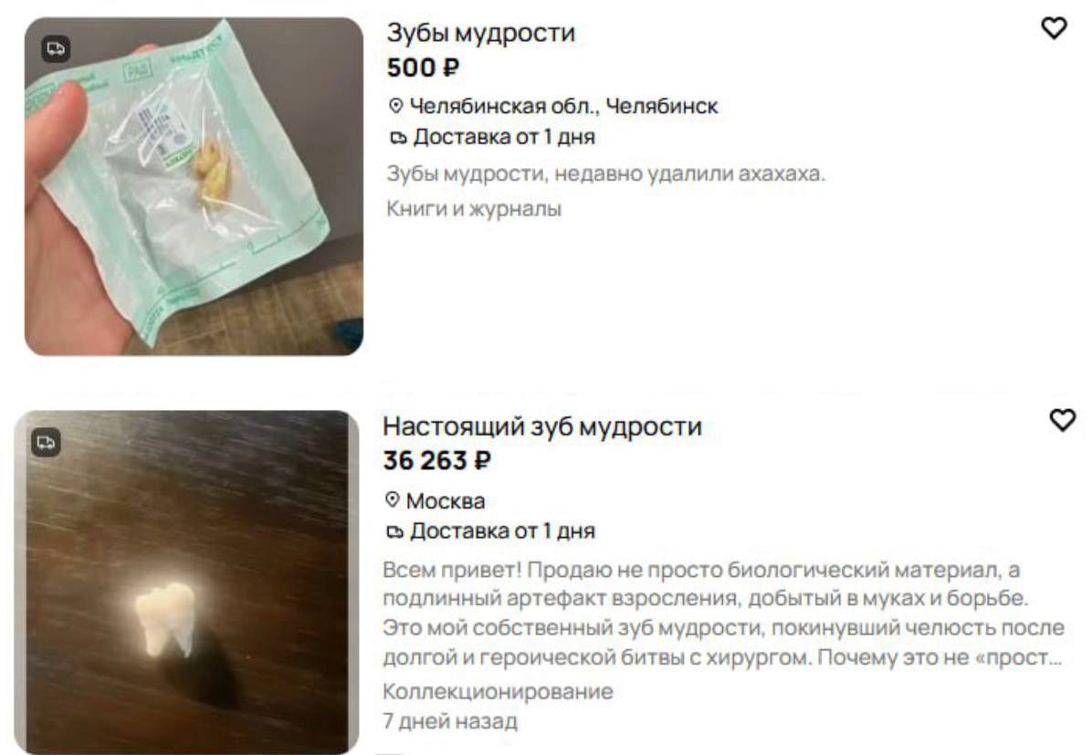 Россияне начали массово продавать зубы мудрости за один можно получить до 36 тысяч рублей Зубы с кариесом стоят около 500 рублей здоровые до 3 тысячи рублей а эксклюзивные образцы продают за десятки тысяч Покупатели студенты стоматологи и любители необычных украшений