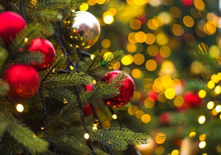 Как украсят Гродно к новогодним праздникам В ближайшее время улицы Гродно вновь засияют красками благодаря оригинальным инсталляциям которые создадут неповторимую атмосферу Первое и пожалуй самое главное новогодние ели Их в этот раз в городе будет 15 из них 6 живые Традиционно они разместятся в разных уголках Гродно Самая красивая и нарядная ёлка уже расположилась на площади Ленина В нее входят примерно 270 живых ёлочек Неизменный элемент новогоднего украшения гирлянды Как и в прошлом году от главной ёлки на площади Ленина будут расходиться 192 луча по 40 метров каждый образуя световой шатер Традиционно вдоль улицы Дзержинского расположатся 4 световые 2D фигуры Кроме этого в этом году улицы города украсят 5 световых 3D фигур в виде лошадей  Поддержать канал бустами Inst TikTok ВК OK FB