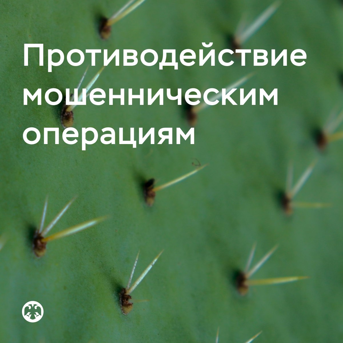 Банк России VK Противодействие мошенническим операциям Итоги второго квартала — В апреле-июне банки отразили 38,7 миллиона попыток мошенников похитить деньги у клиентов. Это в 1,5 раза больше, чем в среднем за предыдущие четыре квартала. Банки защитили 3,4 триллиона рублей клиентов. — Злоумышленники совершили 273,1 тысячи мошеннических операций на общую сумму 6,3 миллиарда рублей. Число таких переводов и размер ущерба сократились на 8,9 и 15,9% соответственно по сравнению со средними значениями за последние четыре квартала. Эти данные получены на основе обращений в банки пострадавших граждан. — Банк России инициировал блокировку 20,2 тысячи телефонных номеров мошенников, а также 13,4 тысячи мошеннических сайтов и страниц в социальных сетях. Подробнее — в «Обзоре отчетности об инцидентах информационной безопасности при переводе денежных средств»: Напоминаем, что сотрудники Банка России не звонят и не пишут гражданам, тем более в соцсетях и мессенджерах. Если с вами связались якобы от имени ЦБ, показывают удостоверение и рекомендуют куда-то перевести ваши накопления — это точно мошенники. Прекратите общение и передайте номер мобильного телефона звонившего в свой банк.