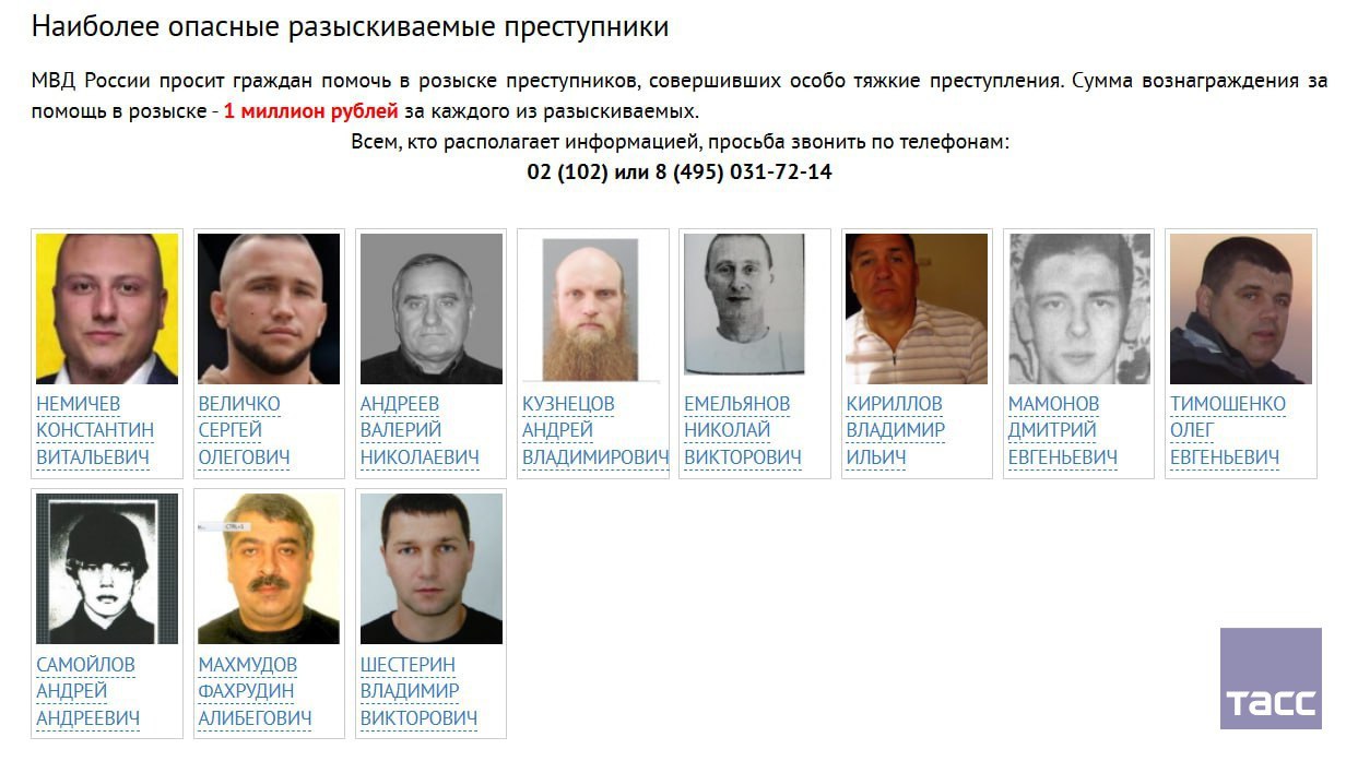 МВД обновило список разыскиваемых преступников, за которых обещает 1 млн рублей, исключив из него члена свердловской ОПГ Семена Ермолинского. Это следует из информации на сайте ведомства.