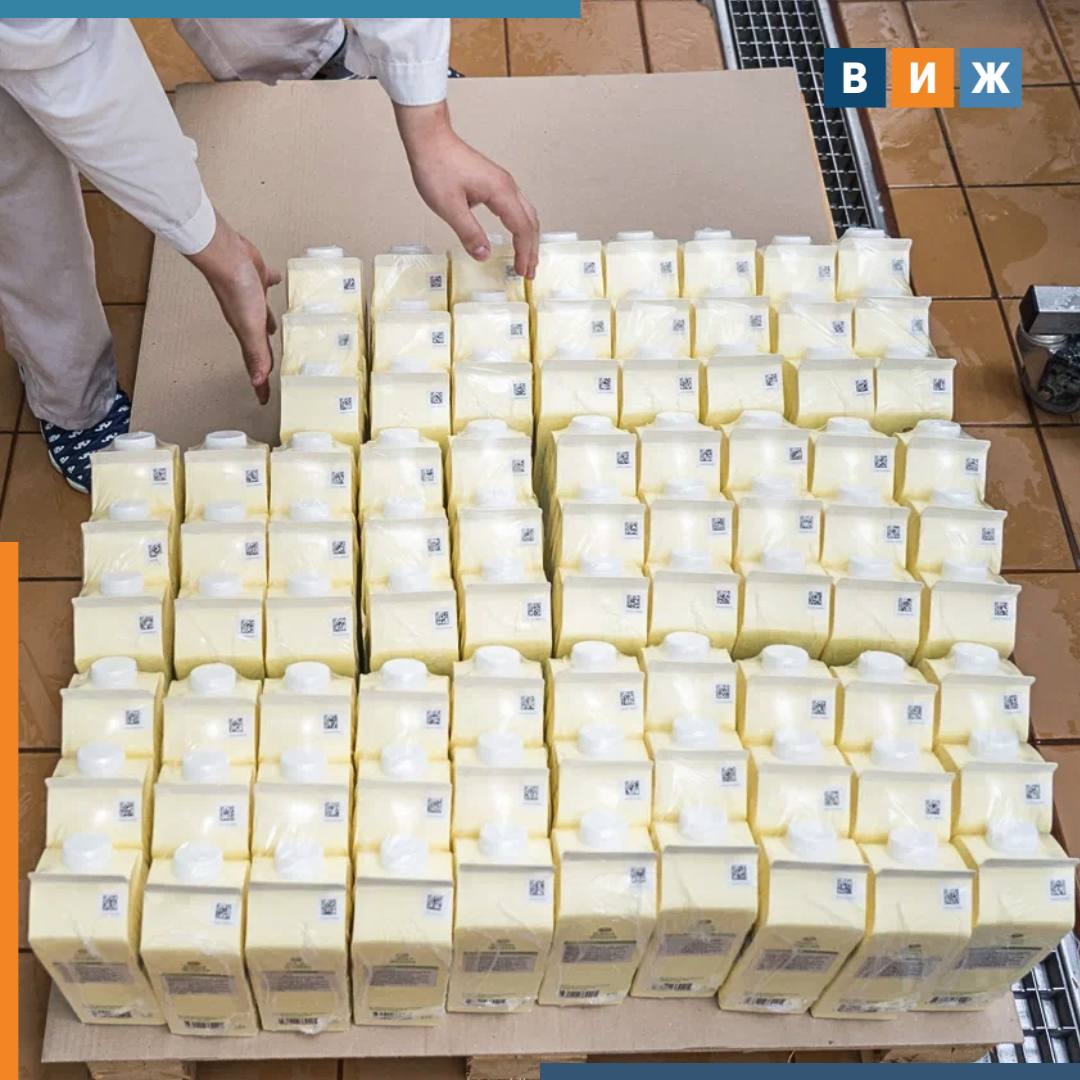 Нейросеть выявила нарушения в производстве молочной продукции на Камчатке Искусственный интеллект использовали при проверке данных в системе Меркурий Сотрудники Приморского межрегионального управления Россельхознадзора установили что 21 апреля на предприятии компании Крутоберегово из Усть Камчатского округа оформили ветеринарный сопроводительный документ на производство более 6 кг сливочного масла А в качестве сырья заявили 400 кг сырого коровьего молока Из него же по данным информационной системы изготовлено 145 л молока с разной жирностью 40 кг обезжиренного творога 20 кг сметаны и почти 300 л сыворотки Технологические процессы изготовления молочной продукции не позволяют выработать из 400 кг сырья столько продуктов подчеркнули в Россельхознадзоре Этот факт указывает на возможное использование ингредиентов неизвестного происхождения и качества проследить которые невозможно отметили в надзорной службе Россельхознадзор объявил компании нарушителю официальное предостережение С начала 2025 года в Камчатском крае искусственный интеллект помог выявить 12 подобных нарушений при оформлении документов в системе Меркурий Подписаться на ВиЖ Наши каналы