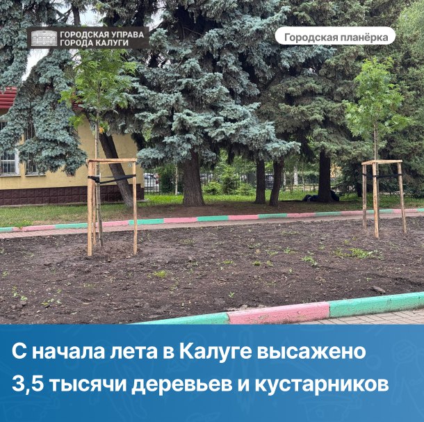 Главный садовник Калуги Ольга Зорякова 12 августа подвела на планерке промежуточные итоги кампании по озеленению города. С начала июня высажено было 3514 растений. 135 – это деревья-крупномеры, остальное – кустарники. Озеленены отдельные участки улиц Ленина, Гагарина, Кирова, Большевиков, Тульской, Старого Торга, сквера Мира. Был озеленен и сквер Медсестер. "Там был проведен комплекс работ и создан сад. Там высажены яблони декоративные, внутри сквера сделан периметр из цветущих кустарников. Это создает такой зеленый уголок непосредственно в центре города", — рассказала Ольга Зорякова.