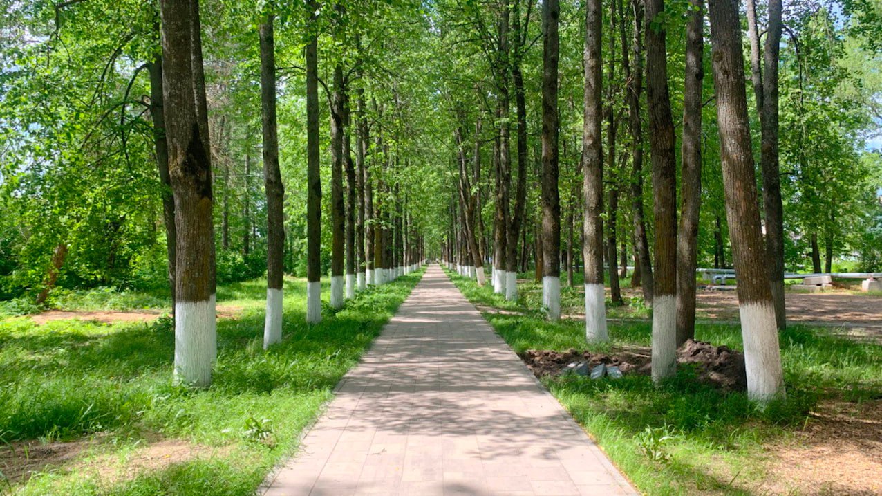 В Савине продолжается благоустройство Городского парка По национальному проекту «Инфраструктура для жизни» и программе «Формирование комфортной городской среды» стартовал третий этап работ. Сейчас строители продолжают укладку тротуарной плитки, установку бордюров и расчистку территории от кустарников, обновляют пешеходную зону между домами №7 до №15 по улице Первомайская. Вокруг Памятного камня создают ухоженную зелёную зону с новыми лавочками. А ещё обновят вход в парк со стороны ул.1-й Железнодорожной. Этот объект для благоустройства выбрали сами жители на одном из прошлый голосований на платформе zagorodsreda.gosuslugi.ru. В этом году жители снова выбирают территории для преображения в самых разных районах. Голосование проходит до 12 июня, высказать свое мнение может каждый житель старше 14 лет.