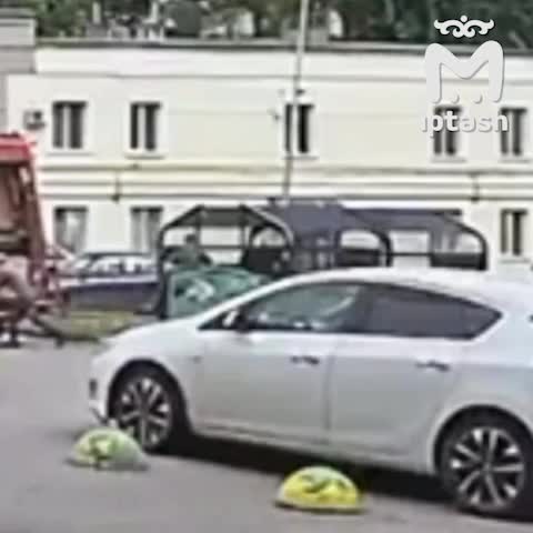 Медведь исследует мусорные контейнеры в Межгорье