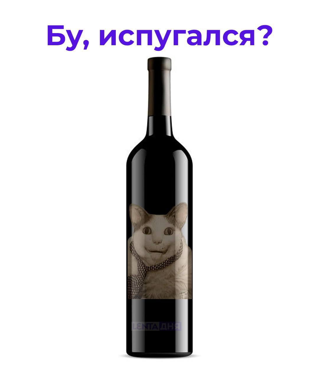 На алкоголе хотят размещать устрашающие надписи Депутаты предлагают украсить бутылки информацией о количестве смертей болезней и увольнений из за спиртного По их мнению это должно замотивировать людей не перебарщивать с алкоголем или отказаться от него меня этим не напугать очередной повод бросить пить