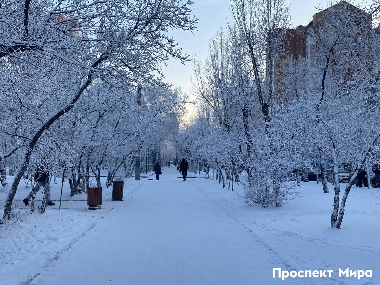 К слову о морозах Дети могут не идти в школу при сильном холоде В мэрии напомнили что ученики 1 4 класса остаются дома если на улице 32 градусов или холоднее Ученики постарше 5 11 класс если 35 градусов и ниже Если дует сильный ветер родители могут сами решить оставить ли ребенка дома даже если мороз 31 или 33 Погодные условия определяются для обучающихся 1 й смены на 06 00 для 2 й смены на 11 00 prmira news