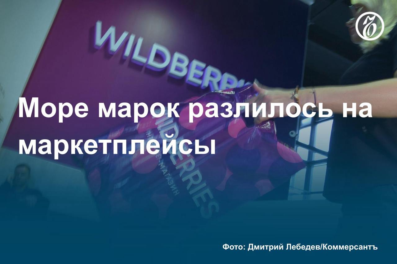 На российских маркетплейсах растет число новых брендов, выяснил «Ъ». К ноябрю 2024 года больше всего новых торговых марок появилось в категории женского белья, постельных принадлежностей, а также товаров для автомобилистов.  Число брендов в этих сегментах увеличилось на 27–28% год к году. Это может быть связано с тем, что для селлеров проще начать продавать на онлайн-площадках такую продукцию.    Подробнее — в материале «Ъ».    #Ъузнал