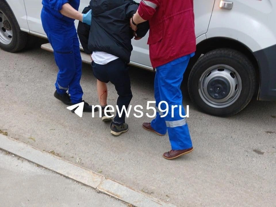 На Разгуляе собаки покусали мальчиков. Отогнать животных помогли проезжавшие мимо спасатели, но одному ребенку пришлось вызвать скорую. Мальчик находится в удовлетворительном состоянии, его осмотрели в травмпункте и отправили лечиться домой, рассказали в Минздраве. Очевидцы говорят, что собаки нападают уже не первый раз. В мэрии сообщили, что на место происшествия выехала бригада по отлову собак — они будут мониторить территорию. Сейчас же СК возбудил уголовное дело по статье «Халатность». Подписаться Прислать новость