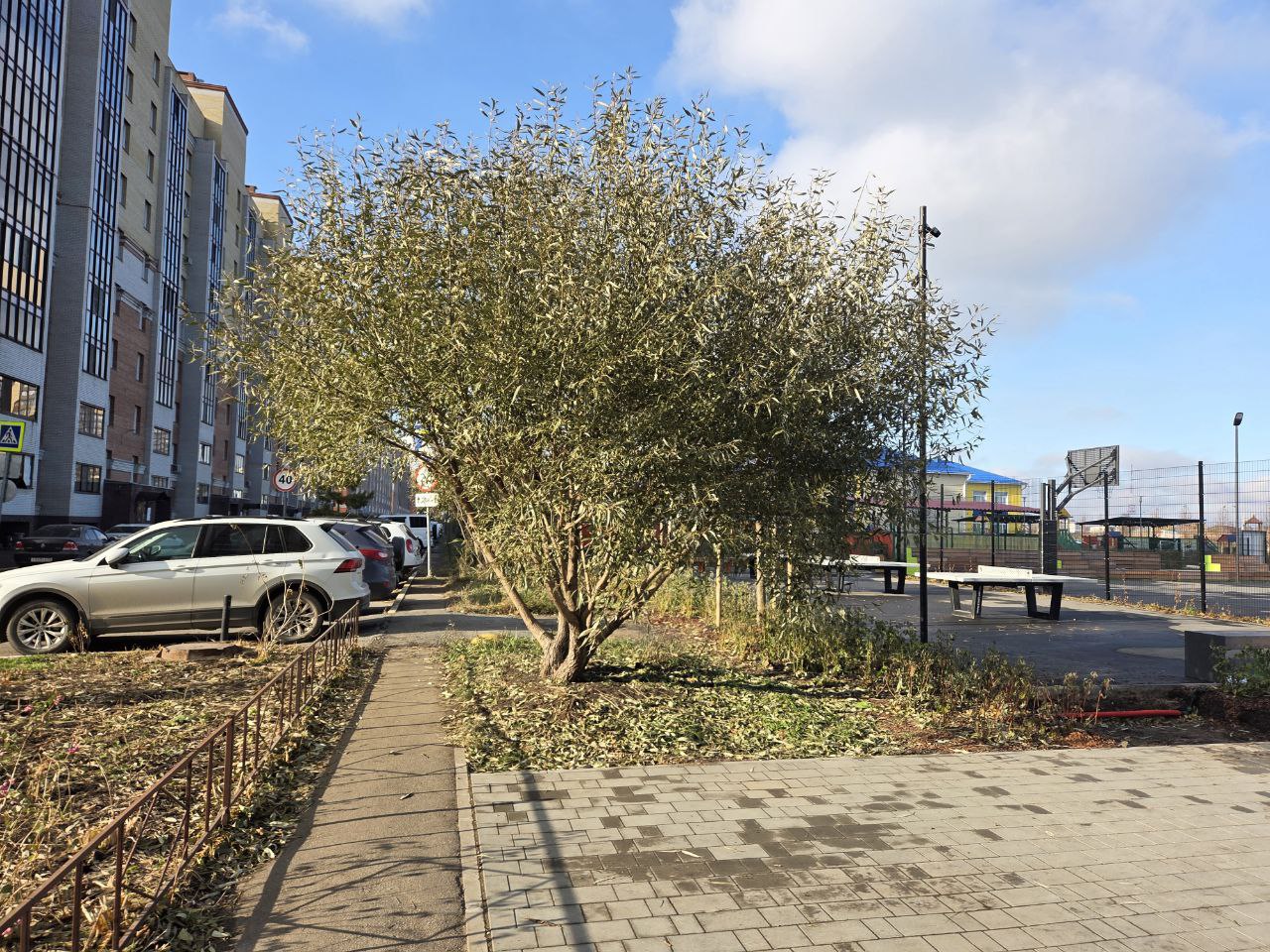 Зеленый свет пилам узнали где в Омске разрешили срубить почти 500 деревьев На этой неделе в Омске снова заседала зеленая комиссия возможно последний раз в 2025 году если только еще одну встречу не организуют под занавес месяца Членам комиссии хватило 50 минут для того чтобы рассмотреть 20 вопросов Из них лишь два не согласовали сразу а отложили до следующего заседания Рубить собираются ради новых строек организации проездов и безопасности жителей Общие цифры как обычно внушительные под снос попадут 484 дерева из них 403 аварийные либо сухостойные и 4970 кв м поросли Кронировать же хотят 1237 деревьев надеемся что не все из них превратятся в пеньки Где именно станет меньше деревьев по итогам декабрьской встречи зеленой комиссии рассказываем в материале Города55 Написать в редакцию можно здесь gorod55ru