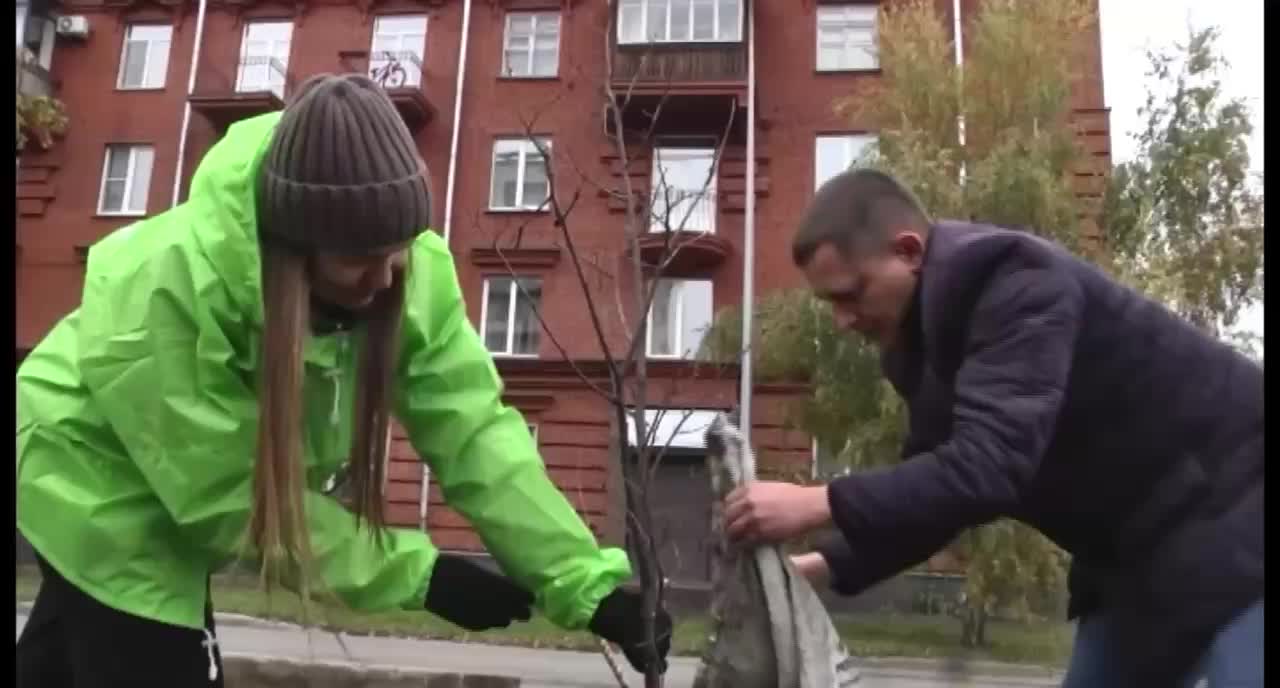 В Капотне прошла акция по озеленению с участием волонтеров и школьников