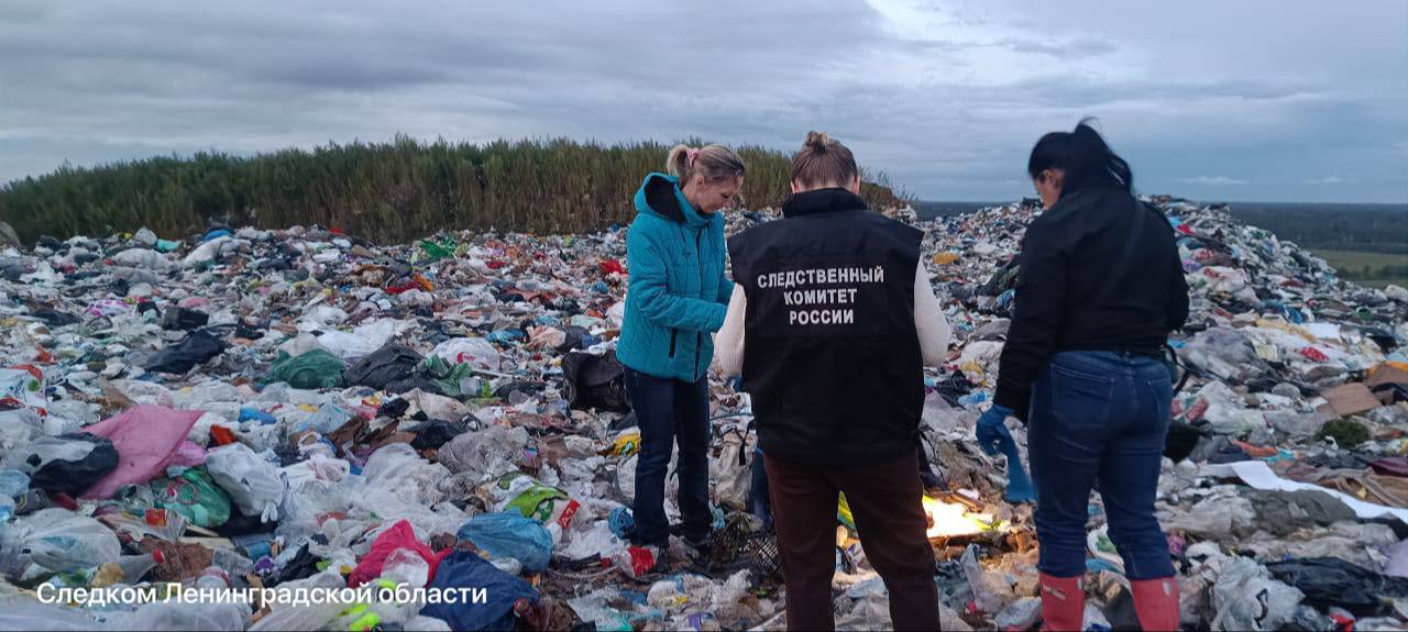 Тело младенца нашли на мусорном полигоне в деревне Лепсари Всеволожского района По факту смерти мальчика возбудили уголовное дело по статье 106 УК РФ убийство матерью новорождённого на месте трагедии работают следователи fontankaspb