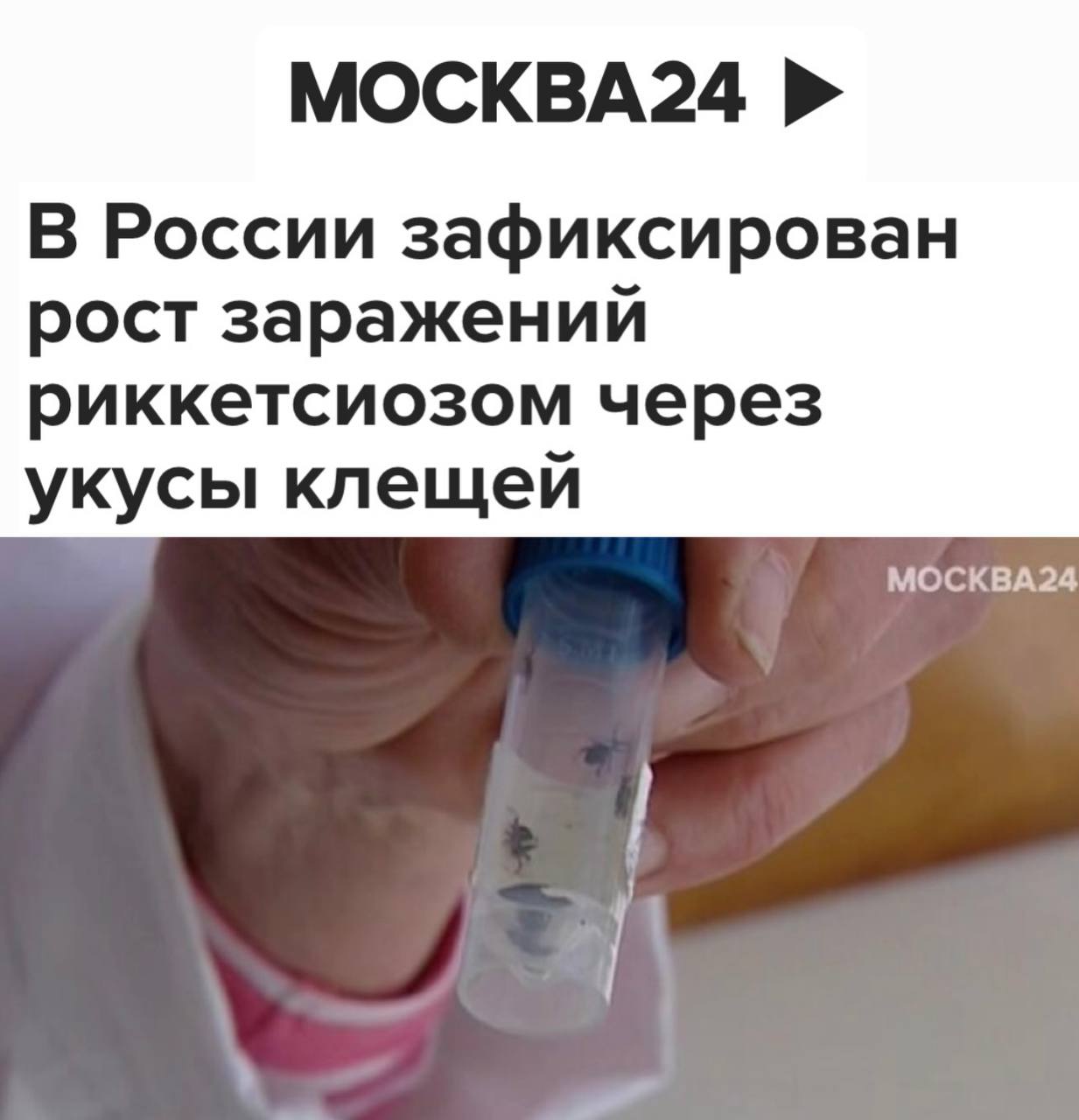 В России отмечен рост случаев заражения клещевым риккетсиозом, опасным заболеванием, передающимся через укусы клещей. Заболевание проявляется лихорадкой, ознобом, головной болью и кожной сыпью. Симптомы начинаются с лихорадки и головной боли, а спустя несколько дней на запястьях и лодыжках появляются небольшие кровоточащие пятна. Диагностировать болезнь на ранних стадиях бывает сложно, поэтому важно обратиться к врачу после укуса клеща. Для предотвращения заражения рекомендуется: • Носить закрытую одежду во время прогулок; • Использовать репелленты; • Придерживаться специальных пешеходных маршрутов.