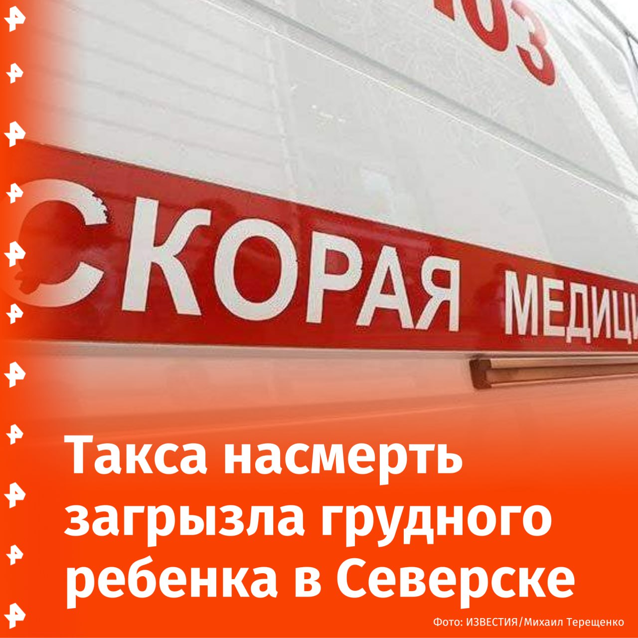 Такса насмерть загрызла малолетнюю девочку в Северске — возбуждено уголовное дело.  Домашняя собака напала на ребенка ночью, когда малышка спала, сообщили в СК по Томской области. Позже тело несовершеннолетней нашла мать.   Следователи выясняют обстоятельства произошедшего.       Отправить новость