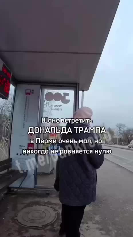 Трамп и Путин встретились в Перми