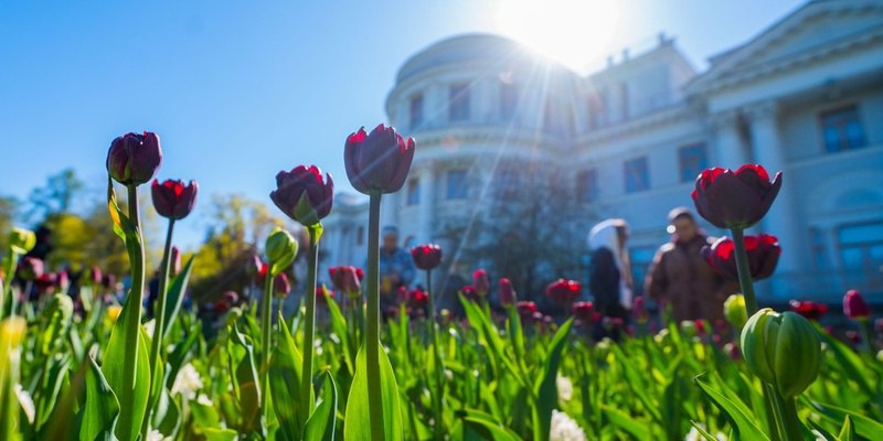 Неожиданно! Дождливая столица России поставила солнечный рекорд Знаменитый своей пасмурной погодой Петербург умудрился поставить накануне светлый рекорд – Солнца было удивительно много! Синоптики подсчитали, что 19 мая наша звезда светила в Петербурге целых 14,6 часа. Чуть больше было лишь в 1994 году. А вечером Солнце скрылось в море, подарив нам еще и дивный закат. Ближайшая пара дней также будут солнечными, хотя уже с облаками на небе. Однако мокрый фронт уже подползает к Северной столице – во второй половине недели обещают наш фирменный дождь. А пока наслаждаемся сухой погодой. Город еще и постепенно прогревается: сейчас 14, днем обещают 18 градусов тепла. Да пора бы уж! 10 дней до лета #Питер #Ньюс #Прогноз #Погода Piter News 24 - Подписаться