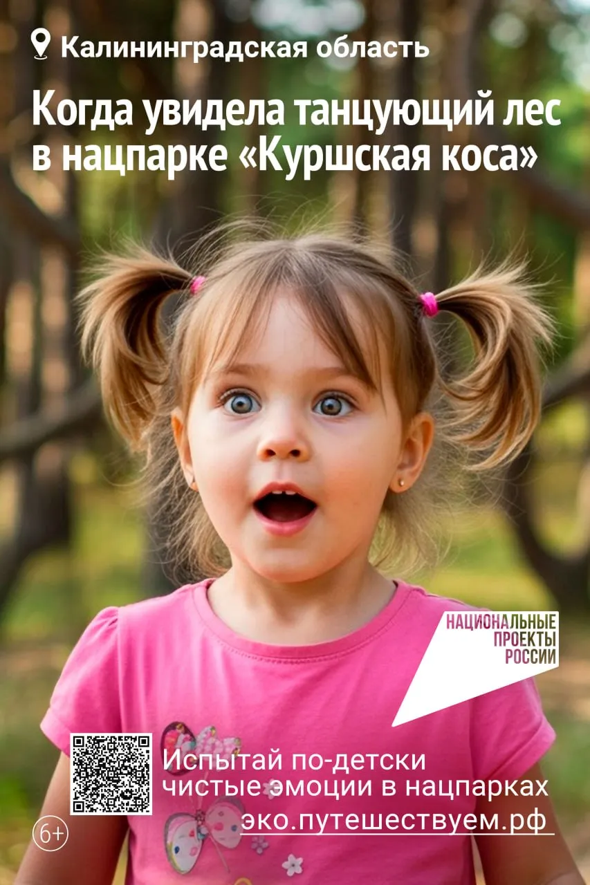 Притяжение природы миллионы россиян выбирают заповедные территории для отдыха В начале 2026 года 2 6 миллиона россиян выбрали заповедные территории страны для отдыха Этому способствует национальный проект Экологическое благополучие который развивает особо охраняемые природные территории Благодаря проекту в нацпарках и заповедниках появляются новые визит центры места для размещения экологические маршруты и зоны отдыха Это позволяет туристам наслаждаться природой не причиняя ей вреда Экомаршруты проходят по заповедным территориям Они позволяют увидеть солёные розовые озёра в заповеднике Чёрные земли байкальских нерп в Бурятии или подняться на скалы в Красноярских столбах Найти удобный маршрут можно на сайте эко путешествуем рф Национальный туристический портал уже содержит 83 материала о маршрутах в 64 регионах России в том числе по Калининградской области калининград туризм39 туризмигостеприимство