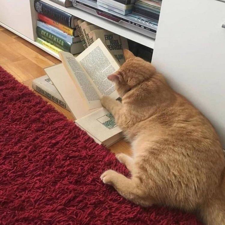 Фестиваль Красная строка в Екатеринбурге состоится Фестиваль книжной культуры получил согласование от свердловского главка МВД за день до своего официального открытия Несмотря на сжатые сроки до начала мероприятия организаторы адекватно отреагировали на высказанные представителями МВД замечания и устранили нерешенные вопросы В итоге полиция согласовала проведение книжной ярмарки прокомментировал представитель главка МВД Валерий Горелых Новости Екб тут SvetEKB