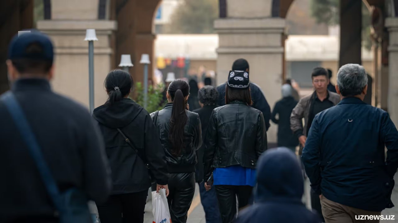 Компании нанявшие на работу выпускников вузов получат льготные кредиты За трудоустройство минимум одного выпускника предприниматель сможет получить льготный кредит в размере до 1 млрд сумов uznews uz ru news 104642 uznews