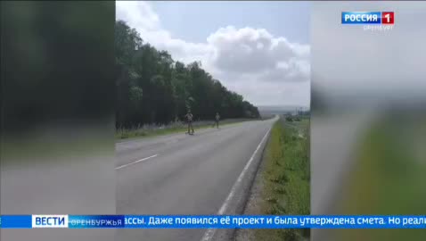 В Бородино обновлена лыжероллерная трасса для спортсменов