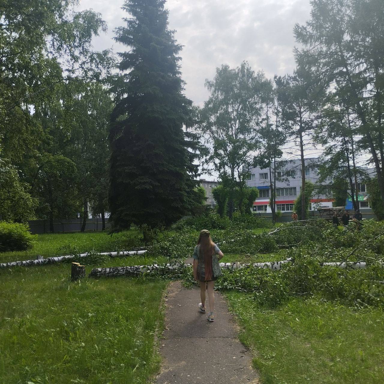 Застройщик сквера, против вырубки которого выступили в Новокузнецке, оказался связан с чеченской компанией Новокузнечане заблокировали вырубку Комсомольского сквера в центре города. Работы ведёт ООО «Г.С. Строй», которое планирует построить «здание управленческой деятельности». Фирма оказалась связана с компанией из Грозного, выяснил «Сибирский экспресс». «Г.С. Строй», по данным сервиса «Контур.Фокус», принадлежит бывшему совладельцу «Кузнецкой строительной компании» Алексею Герасимову и зарегистрированному в Новосибирске ООО «УК Гамма Групп». Основным владельцем последней фирмы, в свою очередь, выступает ООО «Финансовый холдинг „Гамма Групп“», находящийся в Грозном на территории Чечни. «Гамма Групп» принадлежит Салавату Алпарову, у которого новосибирский ИНН. Компания занимается управлением закрытыми паевыми инвестиционными фондами. У неё есть филиалы в Москве, Санкт-Петербурге, Екатеринбурге и Казани. Новосибирске ООО «УК Гамма Групп» в 2022-2025 годах получило госконтракты на сдачу помещений в аренду учреждениям мэрии Москвы и федеральному «Российскому детско-юношескому центру» на 908 млн рублей. Подконтрольное «Гамме» новокузнецкое ООО «Г.С. Строй» в 2025 году получило подряд от управления Судебного департамента Кемеровской области на предоставление здания под Киселёвский городской суд за 553,7 млн рублей. В кузбасских пабликах писали, что сквер в центре Новокузнецка вырубают также под здание суда. Но в управлении Судебного департамента по региону это отрицали. Жители Новокузнецка собрали более 2 тыс. подписей против вырубки, но она уже началась. В комментариях в телегерам-канале мэра Дениса Ильина оставили уже десятки гневных комментариев, он пока не отреагировал публично. Подписаться Прислать новость Помочь бустами