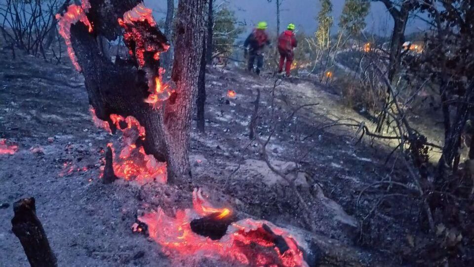 Ущерб на 14 млн виновника крупного пожара в Крыму будут судить СИМФЕРОПОЛЬ 23 авг РИА Новости Крым Прокуратура Крыма направила в суд уголовное дело в отношении 55 летнего мужчины по вине которого этим летом вспыхнул крупный ландшафтный пожар на горе Кастель в Алуште Об этом сообщает пресс служба надзорного ведомства 29 июня 2025 года 55 летний обвиняемый находясь на отдыхе в частном домовладении в селе Лазурное проигнорировав требования пожарной безопасности развел открытый огонь в переносном мангале возле ограждения в результате чего допустил возгорание сухой растительности за пределами домовладения говорится в сообщении Пламя распространилось вверх по склону горы Кастель Пожар удалось потушить лишь 2 июля Его площадь по данным прокуратуры составила более семи гект Подробнее