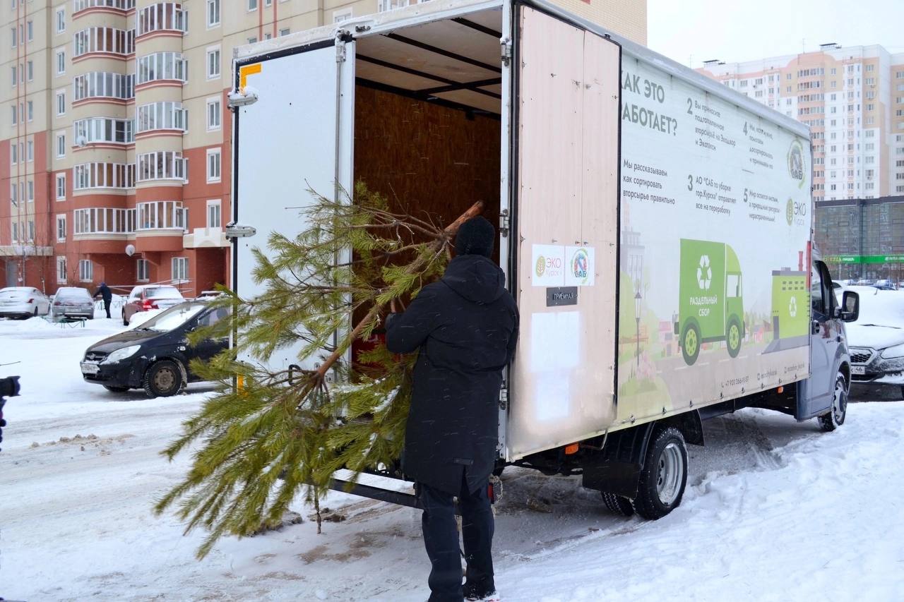 В Курске работает Экотакси для утилизации новогодних елок    В декабре волонтеры проекта собрали больше тонны вторсырья.    В январе запланировано 3 маршрута: 5, 19 и 26 декабря. С расписанием можно ознакомится на сайте.    «Вести.Курск». Только проверенная информация.