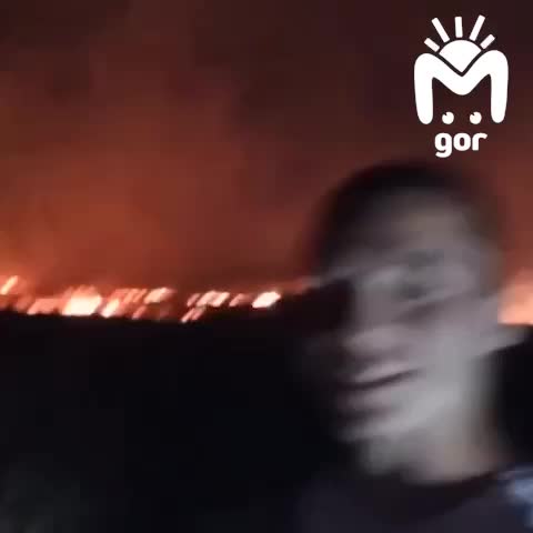 Возгорание в Эльтавском лесу: МЧС на месте происшествия
