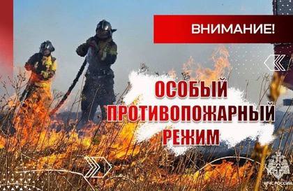В ДНР предупредили о самом высоком классе пожароопасности 9-10 июня в центральных и юго-восточных районах Донецкой Народной Республики ожидается чрезвычайная пожароопасность 5 класс . Об этом сегодня сообщили в Главном управлении МЧС России по ДНР. В связи с этим существует вероятность происшествий, связанных с возникновением лесных и ландшафтных пожаров. В МЧС настоятельно призывают ни в коем случае не бросать горящие спички и сигареты на лесной территории. Не выжигайте траву, камыш. Не разводите костры в лесу.