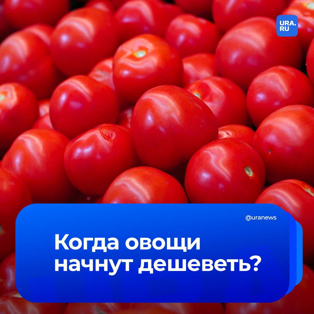 Когда овощи начнут дешеветь? Цена томатов и огурцов в магазинах этой зимой рекордно выросла, она сравнялись с показателями мяса. Например, заплатить за 1 килограмм огурцов придется до 370 рублей.   Это связано с ростом инфляции и тарифов на газ и электроэнергию, которые нужны для обогрева теплиц и досвечивания культур, рассказал нам директор по стратегическим вопросам Национального союза производителей плодов и овощей Игорь Мозговенко.  Он подчеркнул, сыграли роль и западные санкции:   «В последние два года не хватает семян  98% импортные . Мы сильно зависим от логистики и мировых цен», — объяснил эксперт.   По огурцам пик цен обычно приходится на февраль, поэтому сейчас можно ожидать постепенного снижения стоимости. А вот по томатам ждать удешевления рано, текущие цены будут держаться в марте и апреле. По ним мы увидим изменения ближе к маю, резюмировал Мозговенко.