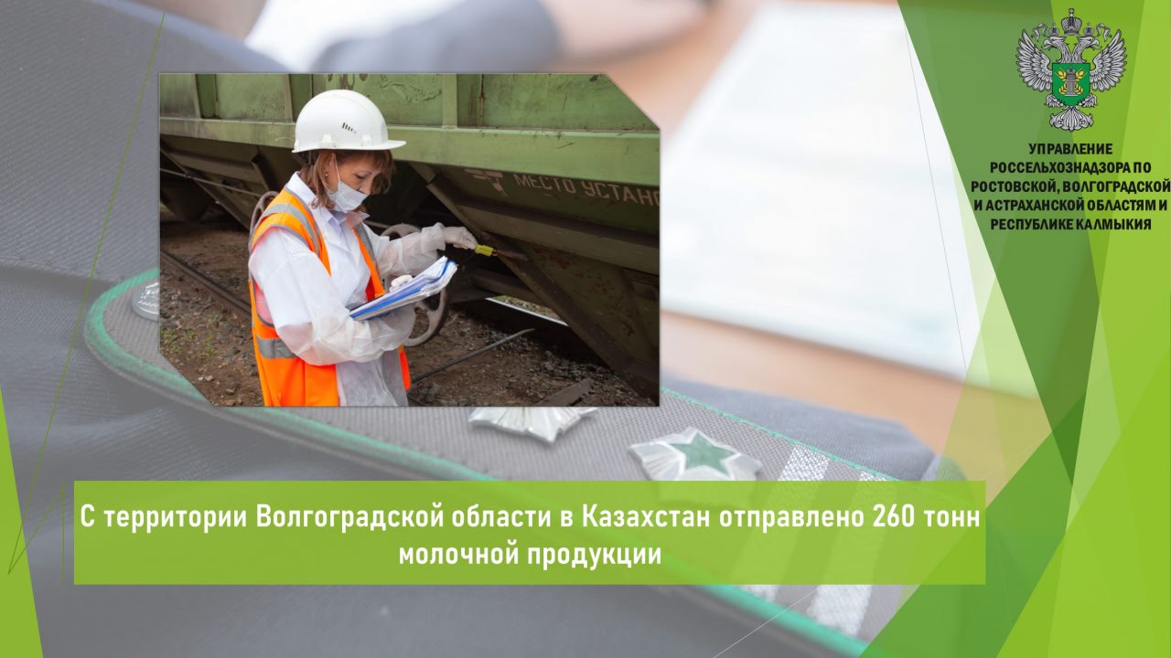 Управлением Россельхознадзора по итогам минувшей недели в местах полного таможенного оформления Волгоградской области проведен ветеринарный контроль в отношении 260 т молочной продукции сыворотка молочная сухая , предназначенной на экспорт в Республику Казахстан. Вывоз молочной продукции осуществлялся с территории региона железнодорожным транспортом. Продукция признана безопасной в ветеринарно-санитарном отношении. Ее качество и безопасность подтверждены результатами лабораторных исследований, проведенных в испытательной лаборатории. Открыть полный текст #Ветеринарный_надзор #Ввоз_вывоз_транзит #Экспорт