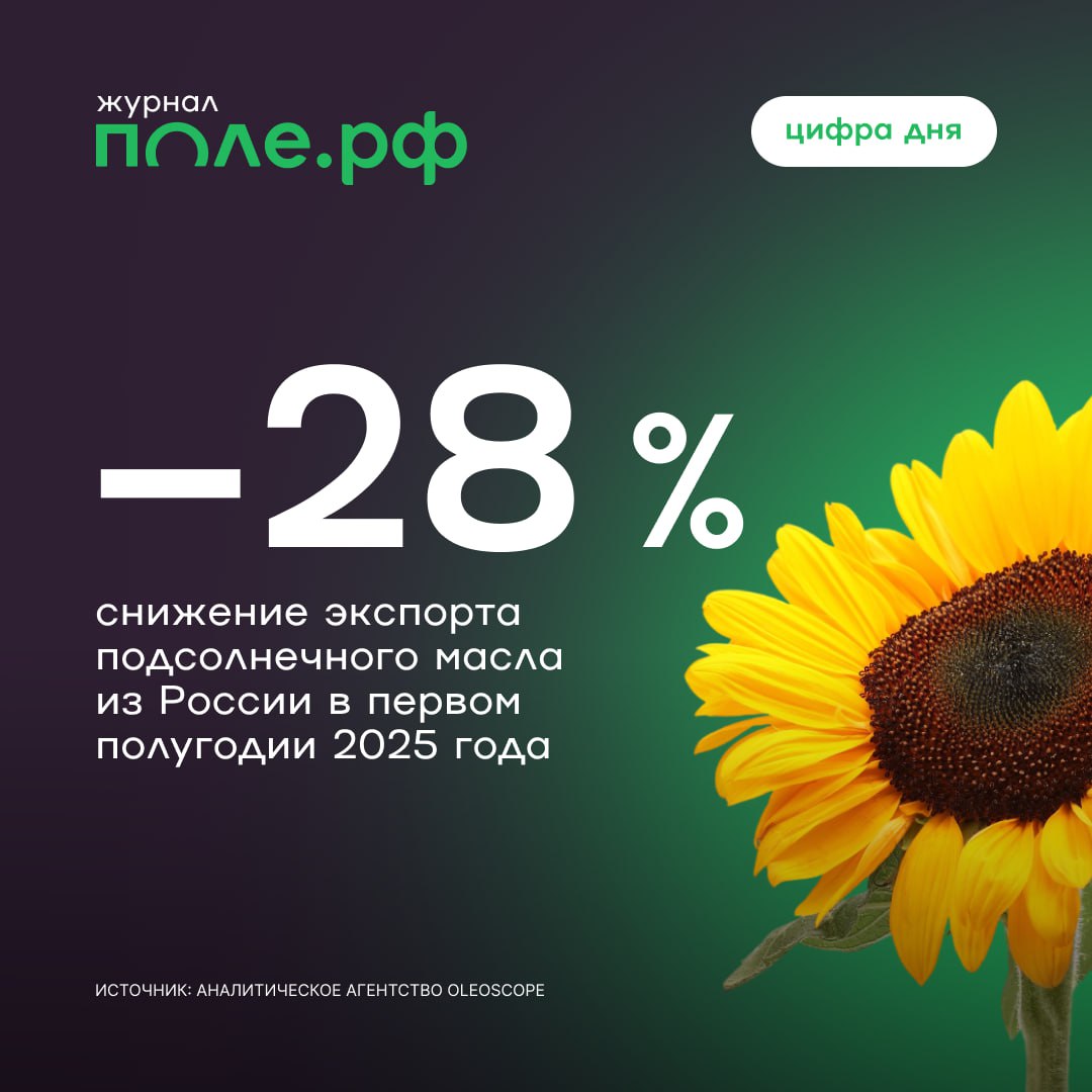 Объем вывоза подсолнечного масла из России в январе — июне 2025 года составил 2,15 млн тонн. Это на 28% ниже показателя аналогичного периода 2024 года, следует из обзора аналитического агентства OleoScope. «Необоснованно высокие закупочные цены на сырье, снижение курса доллара и относительно высокая экспортная пошлина привели к тому, что с начала года переработка подсолнечника на экспорт убыточна», — объяснили негативную динамику в Масложировом союзе России. Эксперты ожидают, что к началу нового сезона в сентябре 2025 года цены сбалансируются, и объемы экспорта будут расти. Подробнее об экспорте растительных масел.
