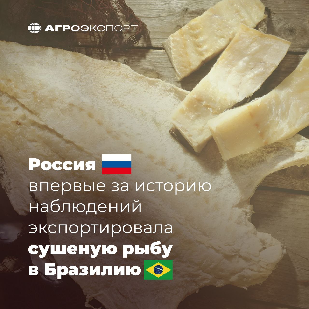 Россия впервые за историю наблюдений экспортировала сушеную рыбу в Бразилию Теперь у бразильцев есть идеальная закуска для просмотра футбольных матчей Согласно оценкам экспертов за 10 месяцев 2025 года Россия поставила в страну более 24 тонн сушеной рыбы на сумму почти 400 тыс долл США большая часть которой треска Ранее сушеная рыба в Бразилию не экспортировалась Также в октябре 2025 года возобновились поставки водки впервые с декабря 2024 года Общий объем ввоза спиртных напитков в 2025 году составил почти 50 тонн на сумму более 125 тыс долл США В целом за январь октябрь 2025 года Россия экспортировала в Бразилию продукции АПК на сумму свыше 4 млн долл США Читайте Агроэкспорт в MAX агроэкспорт новостиАПК