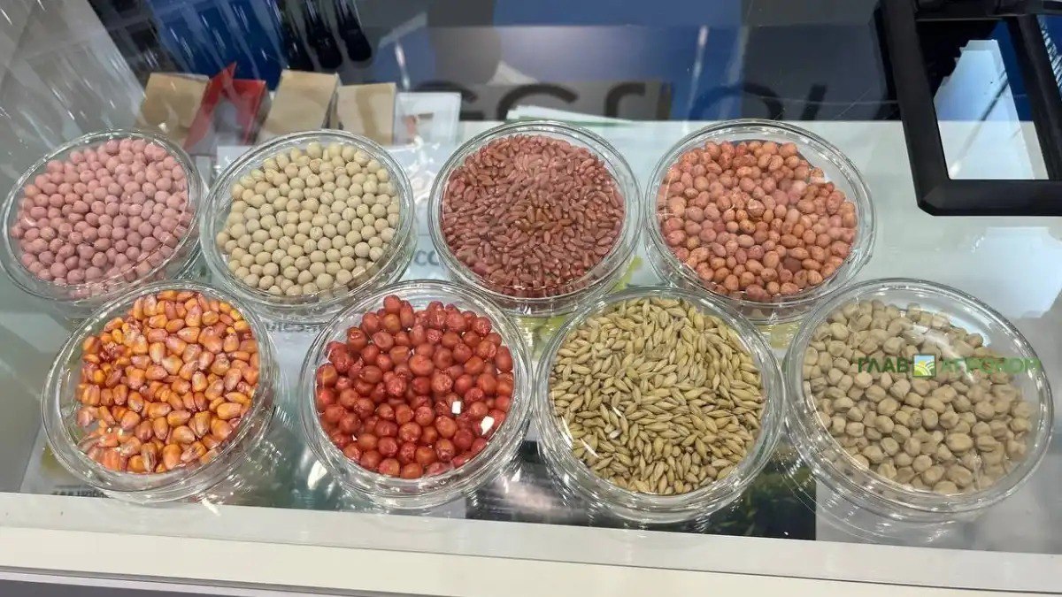 Регионы лидеры по переходу на отечественные семена назвали аналитики  Аналитический центр компании RUSEED совместно с журналом Поле рф подготовил обзор ключевых достижений отрасли семеноводства в 2025 году