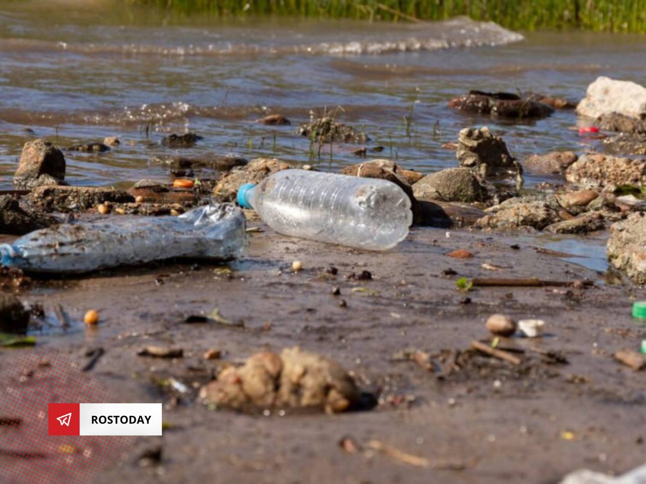 В Ростове возле Цыганского озера обнаружили несанкционированную свалку на площади 3,5 тысячи кв. м.   На участке нашли отходы с высоким содержанием нефтепродуктов, наносящие экологический ущерб в 3,4 млн рублей. Росприроднадзор потребовал от владельца участка возместить вред, следователи завели уголовное дело.    Новости Ростова