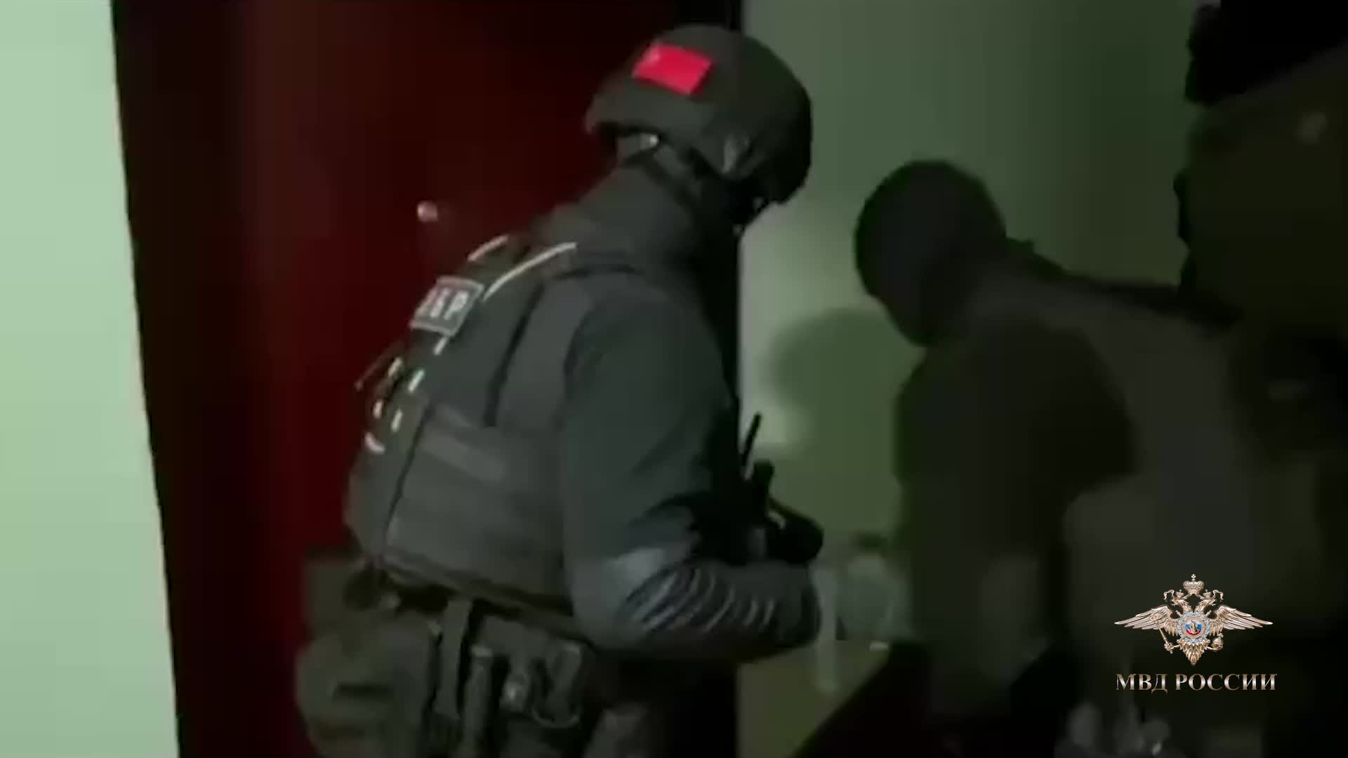 В Москве задержаны организаторы продажи поддельных миграционных документов