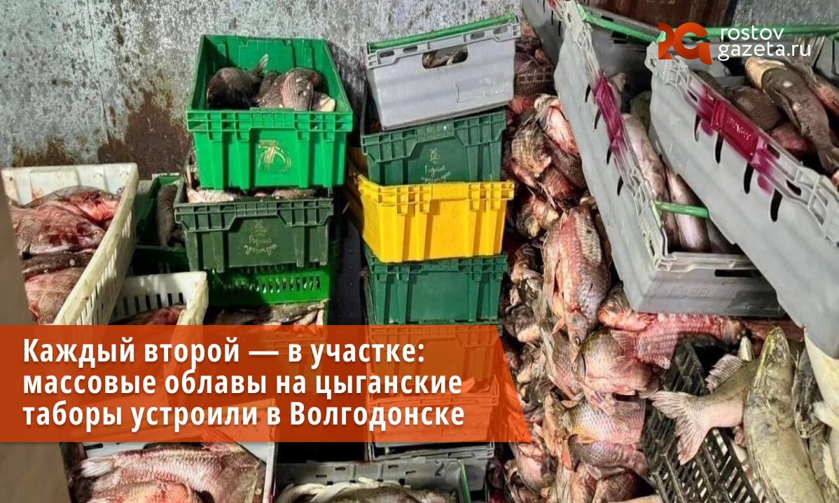 В Волгодонске полицейские провели операцию Табор направленную на пресечение преступлений в местах компактного жительства лиц цыганской национальности Сотрудники ведомств проверили более 250 человек и выявили множество нарушений В частности в Цимлянском районе нашли подпольный цех по производству рыбной продукции без маркировки Хозяином предприятия оказался 39 летний дончанин Выяснилось что никаких разрешающих документов владелец цеха не получал Также были зафиксированы многочисленные нарушения санитарных норм Всего правоохранители изъяли больше шести тонн рыбной продукции которую в дальнейшем планировали продавать на территории региона и в других российских субъектах Всего по итогам рейда в участки доставили 123 человека почти половину из всех проверенных Подписаться Прислать нам новость