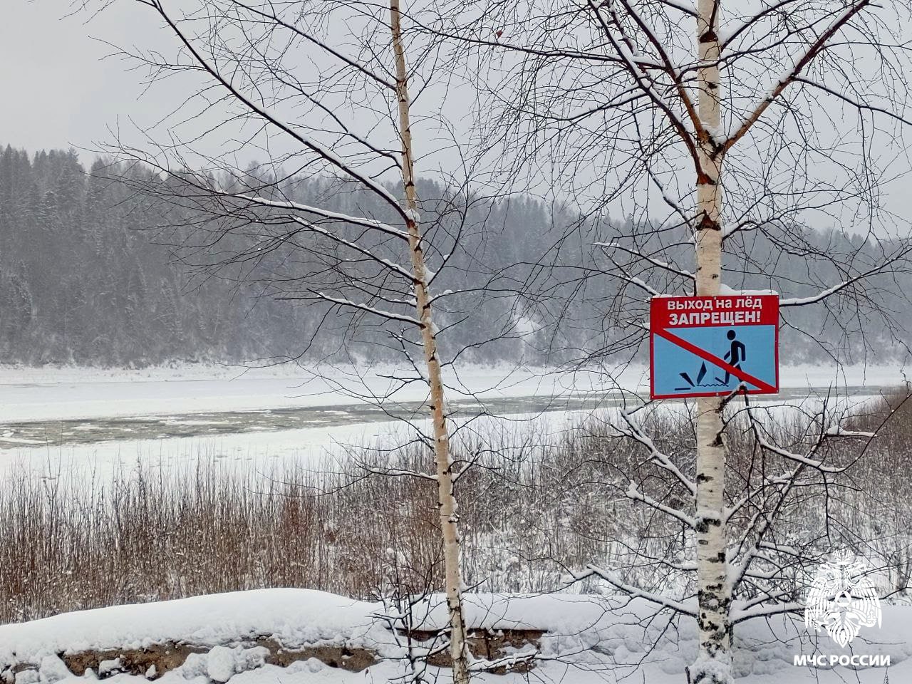 На водоёмах области действуют запреты выхода на лёд  В связи с погодными условиями лёд на водоёмах становится всё тоньше. Из-за этого выходить на него опасно.  Полностью запрет выхода на лёд действует в Шекснинском и Череповецком районах, в Чагодощенском, Устюженском, Тотемском, Сямженском, Кадуйском, Грязовецком, Вологодском, Верховажском, Бабаевском округах, а также в Вологде и Череповце.  Частично запрет введён в Усть-Кубинском, Сокольском, Великоустюгском, Белозерском, Кирилловском и Междуреченском округах.  МЧС России напоминает:    не выходи на лёд во время действия запретов;    не разрешай детям одним гулять по берегам рек, озёр и прудов;    безопасная толщина льда начинается от 7 сантиметров;    ни одна рыба не стоит твоей жизни!    Ваша безопасность – ваша ответственность!