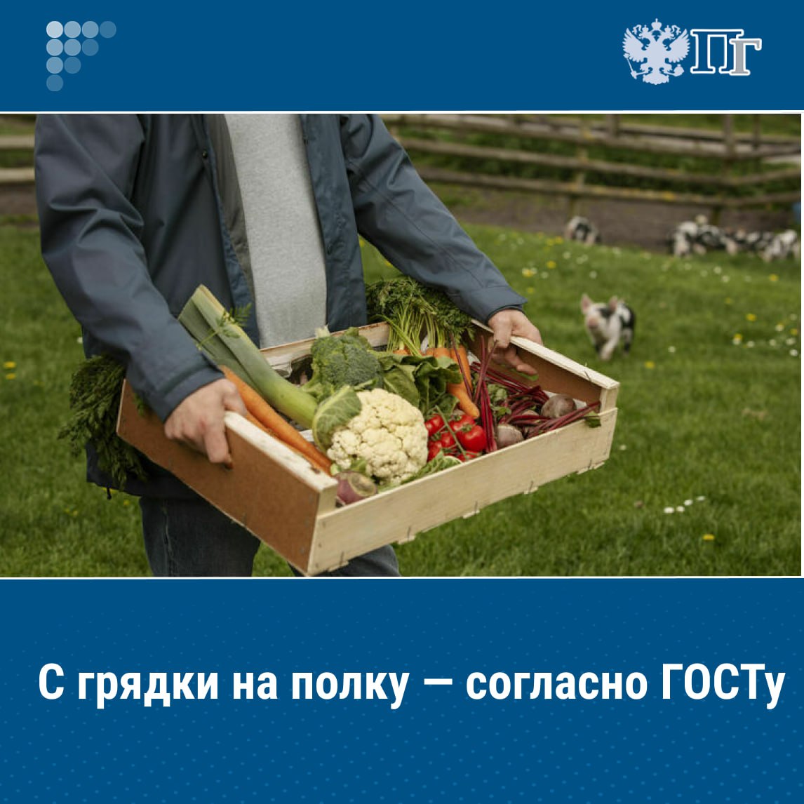 Росстандарт совместно с Роскачеством разработали и утвердили новый ГОСТ для фермерской продукции В нем определяется какая продукция относится к фермерской указаны стандарты для упаковки таких товаров и их размещения на полках магазинов Парламентская газета выяснила как будет работать новый ГОСТ и кто будет ему следовать Подписаться на Парламентскую газету
